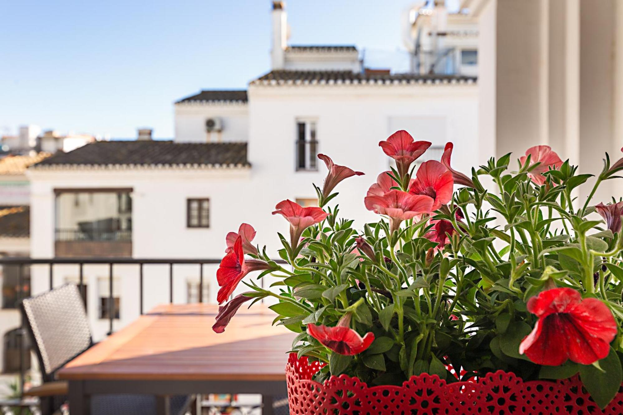 Duquesa Port Studio Apartment - Bright Sunlit Terrace Manilva Ngoại thất bức ảnh
